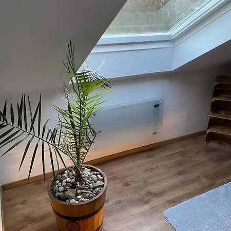 Skywalk Willingen Apartment