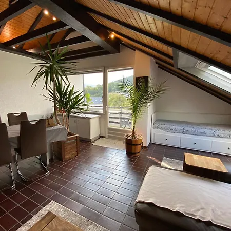 Skywalk Willingen Apartment