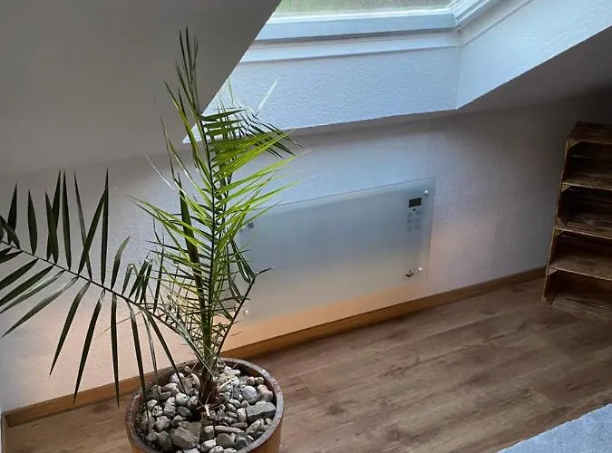 Skywalk Willingen 公寓