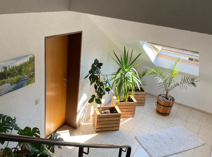 公寓 Skywalk Willingen