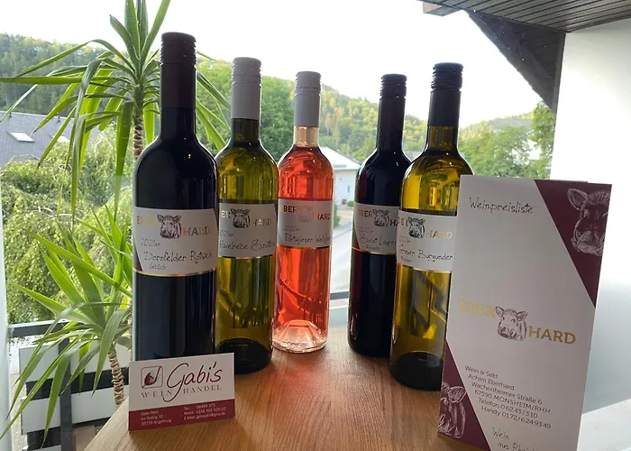 Skywalk Willingen 公寓 Stryck