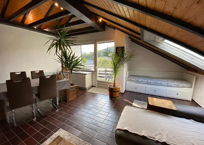 Skywalk Willingen 公寓