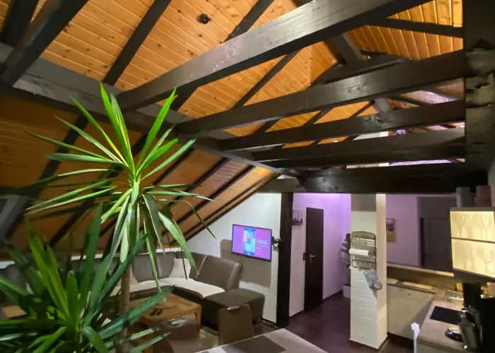 公寓 Skywalk Willingen *