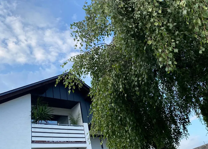 Skywalk Willingen 公寓